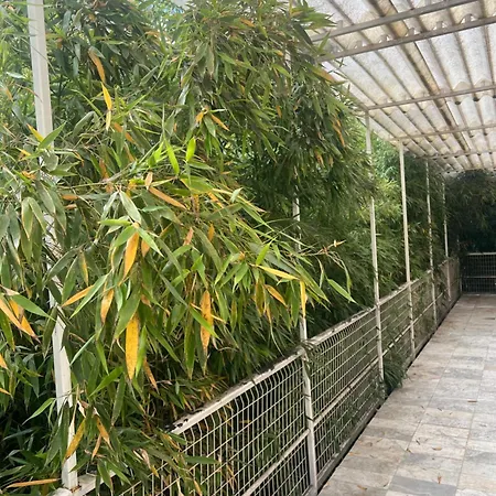 Loft D'argenteuil